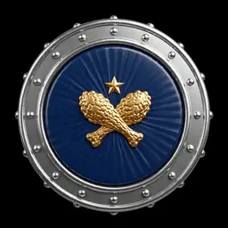 B-WING Ace badge
